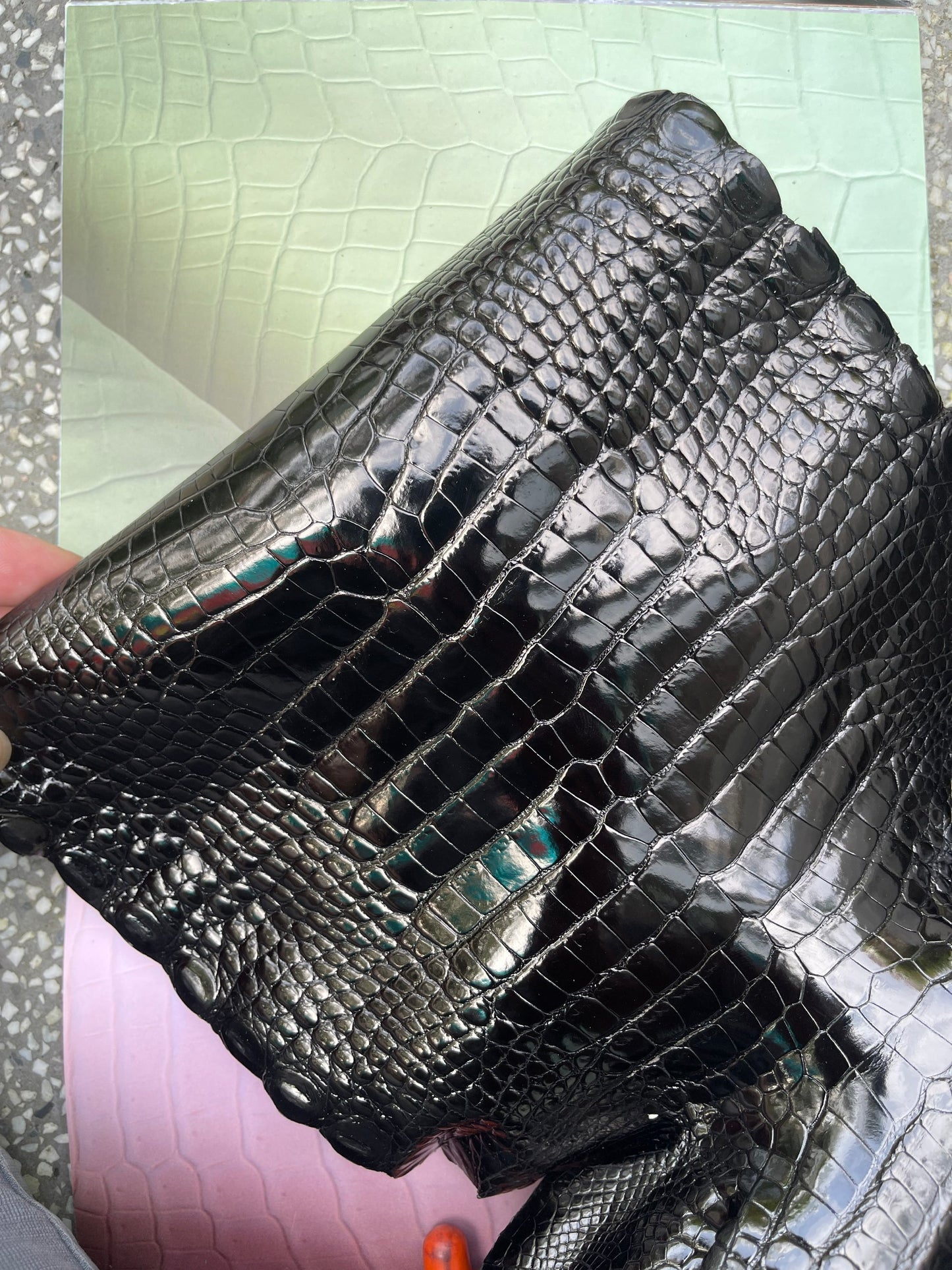 Genuine Black Alligator Skin